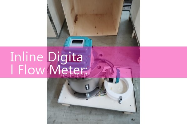 Inline Digital Flow Meter: Programming Multi-Unit LCD Totalizers for General Factory Utilities